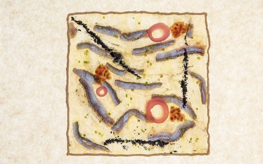 4Enogastronomia d'eccellenza