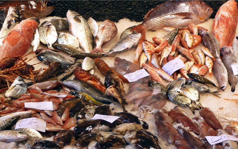 Pescheria del porto3