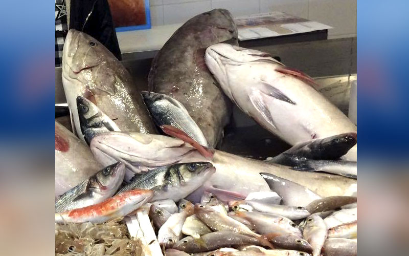 Pescheria del porto4